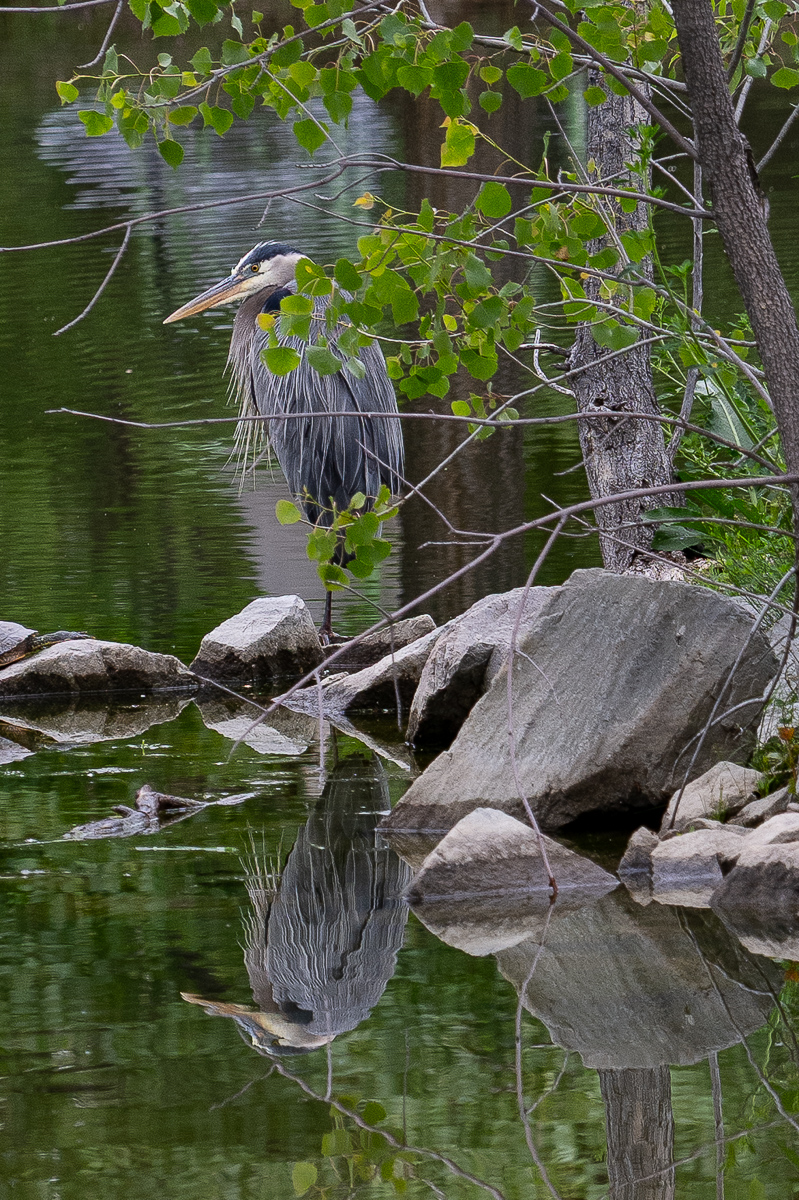 DSC_9538.jpg