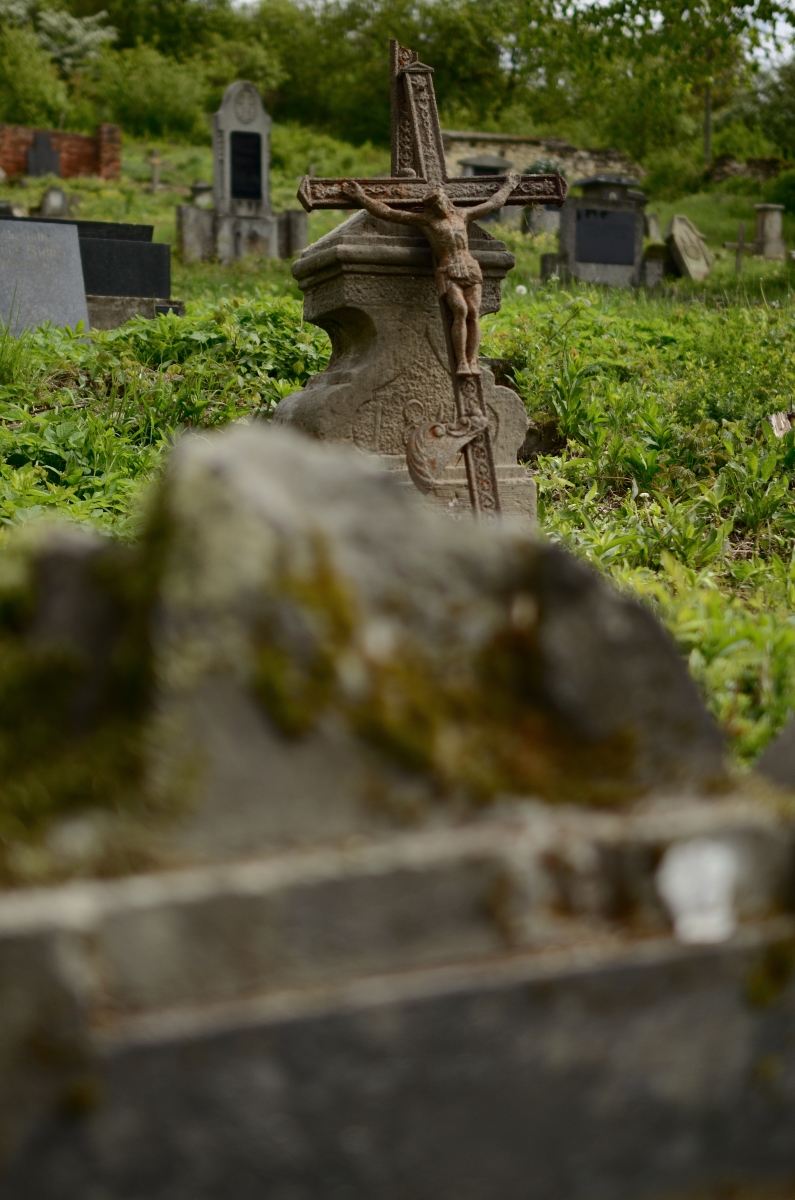 DSC_9545_00001n.jpg