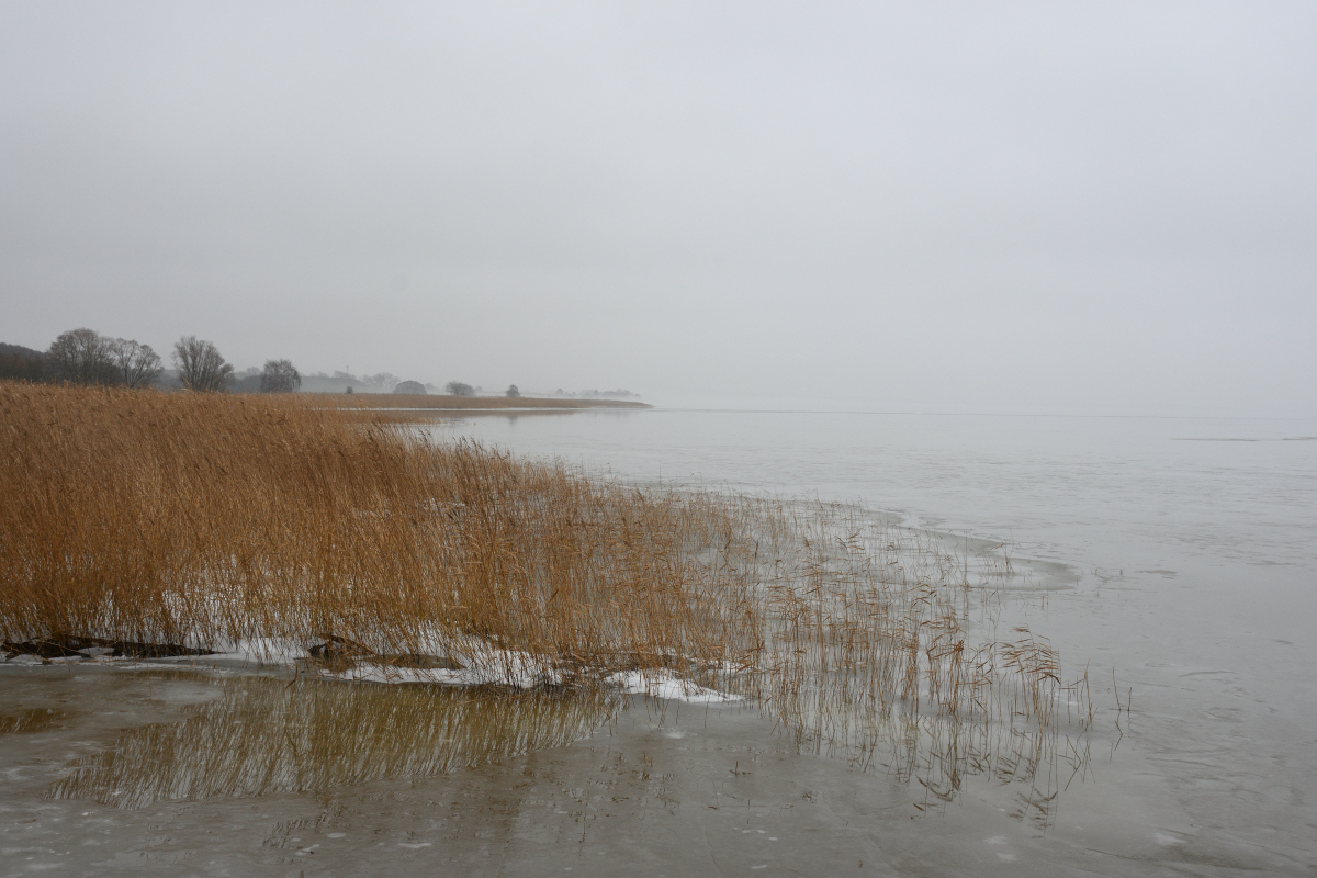 DSC_9546.JPG