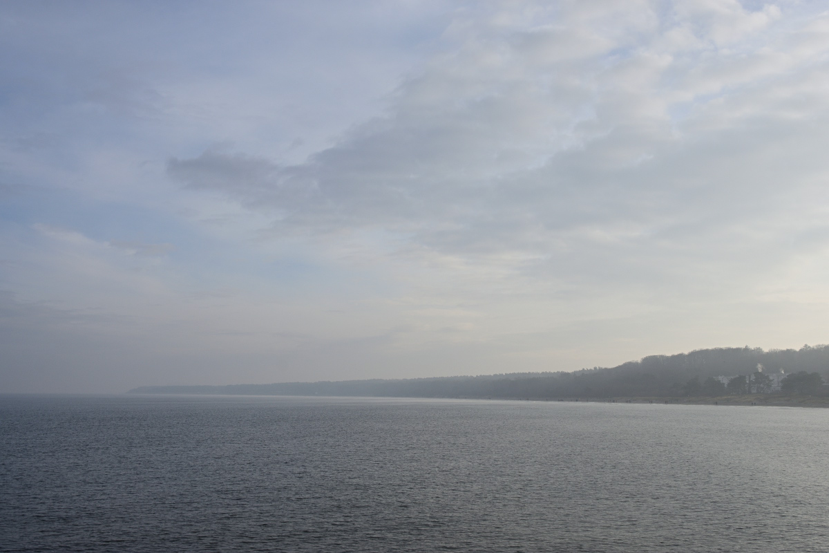 DSC_9546.JPG