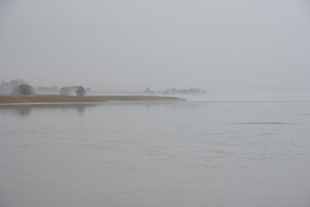 DSC_9553.JPG