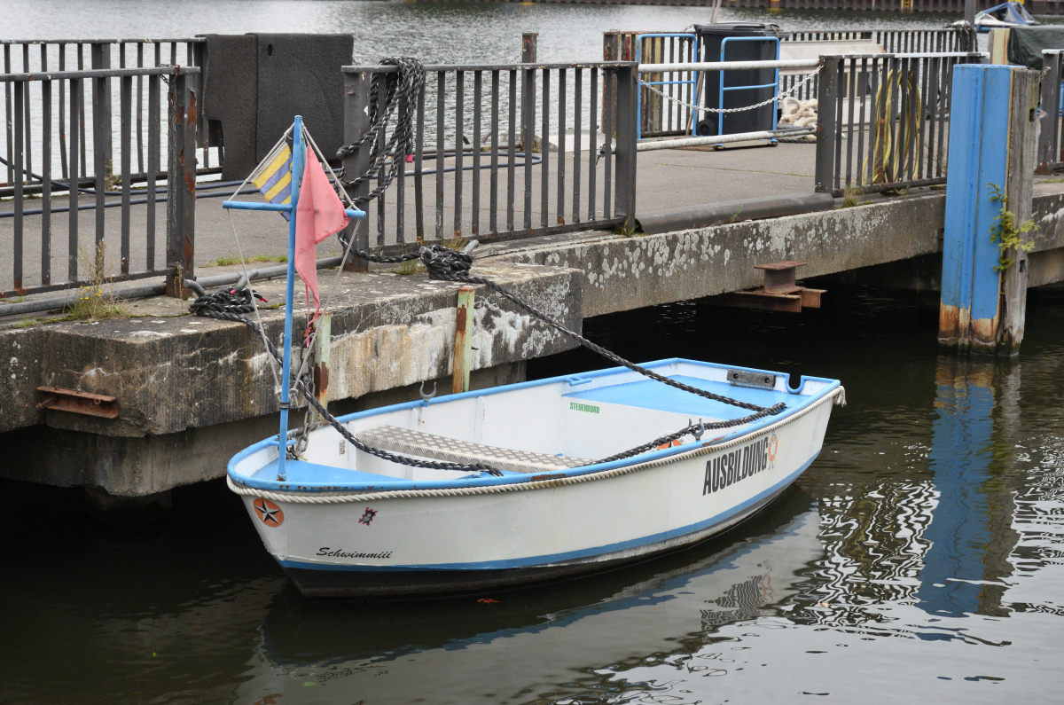DSC_9555.JPG