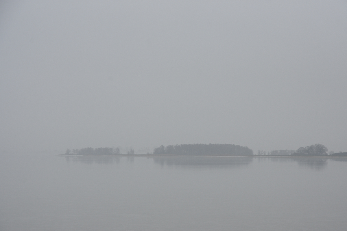DSC_9560.JPG