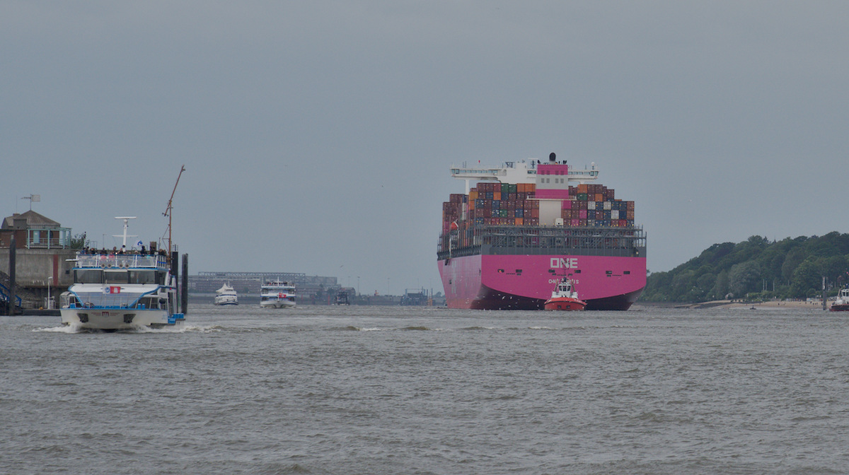 DSC_9562.jpg