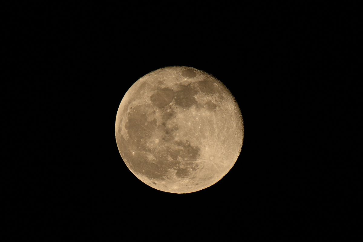 DSC_9590.JPG