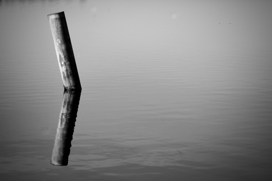 DSC_9591.jpeg