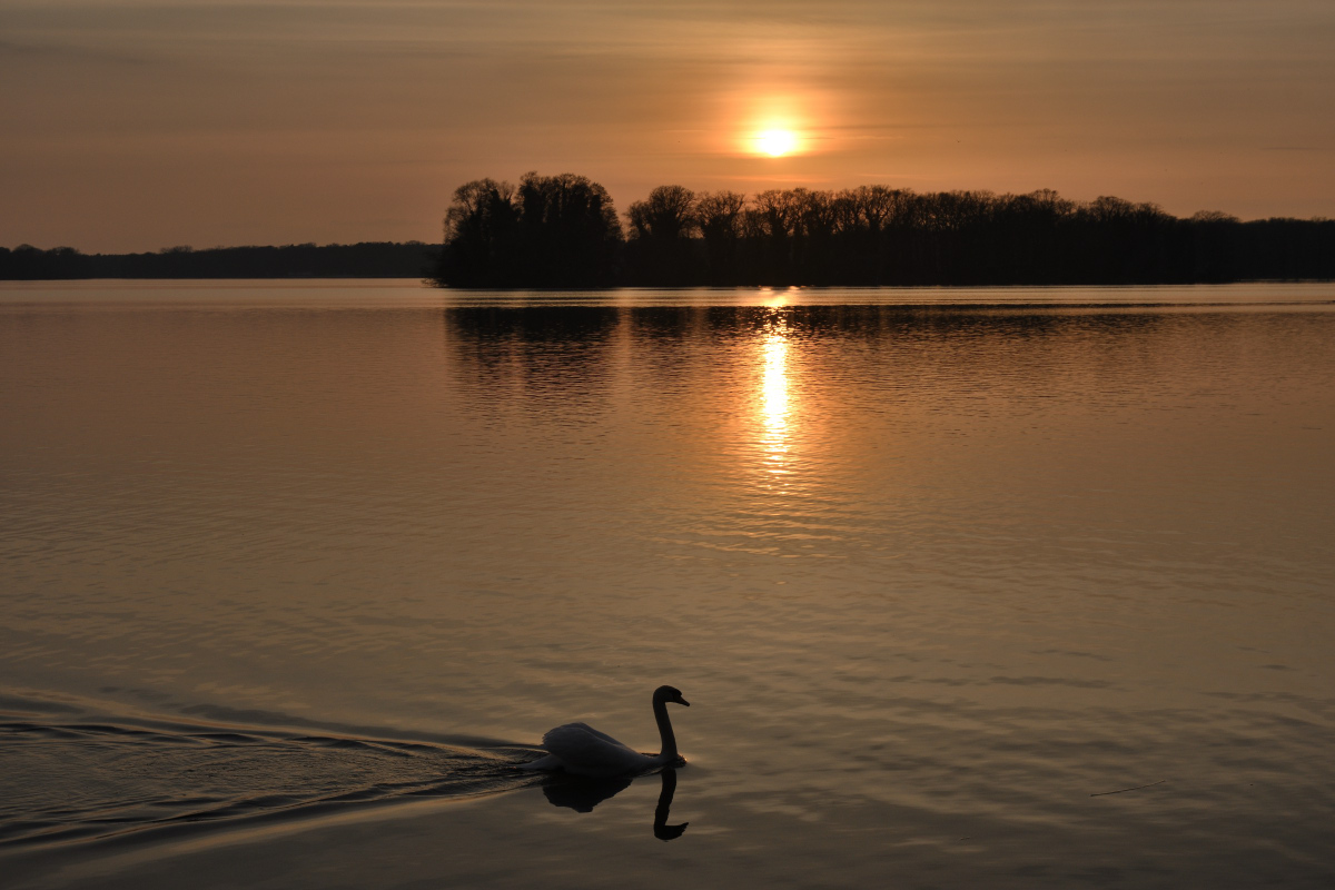 DSC_9610.JPG