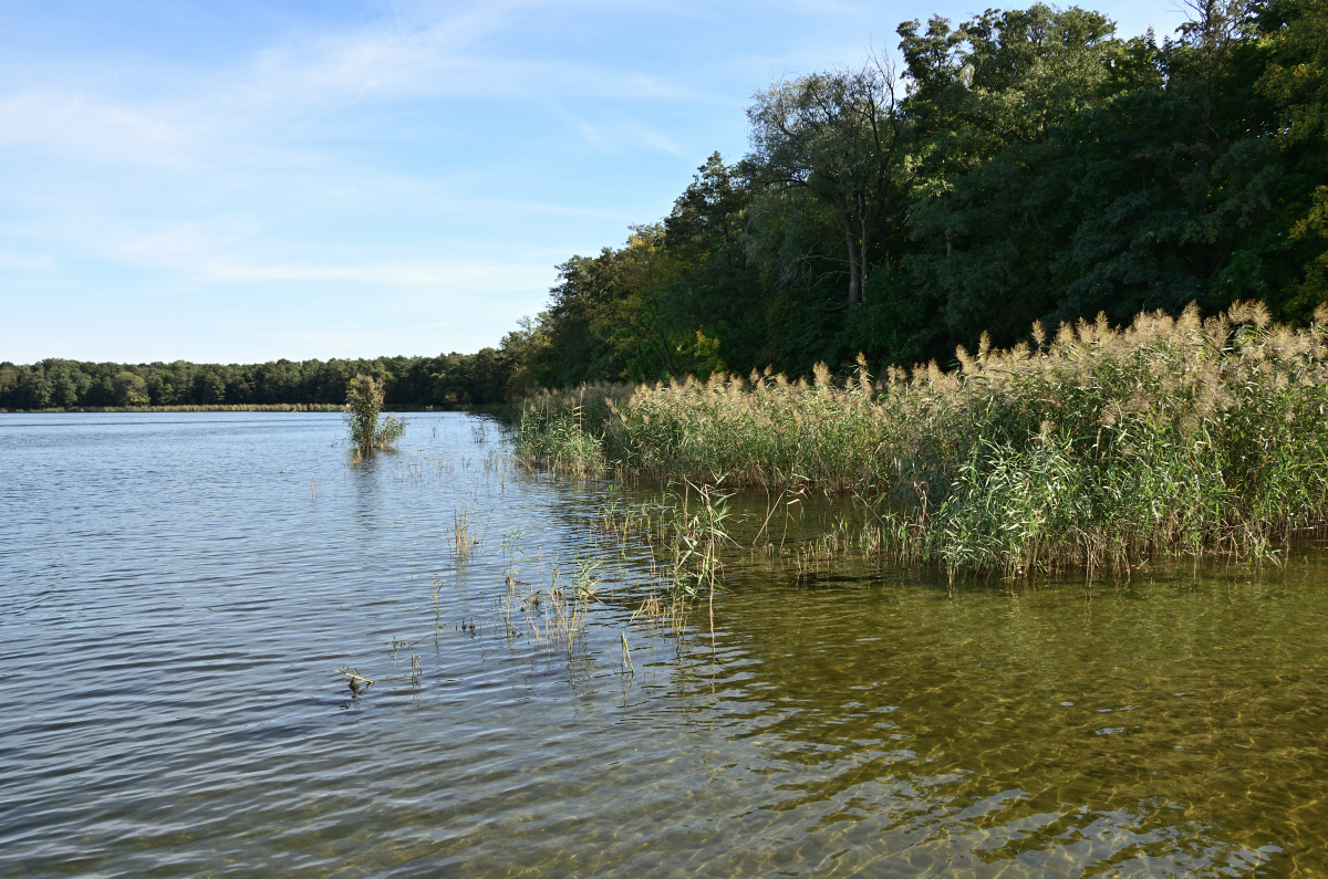 DSC_9615.JPG