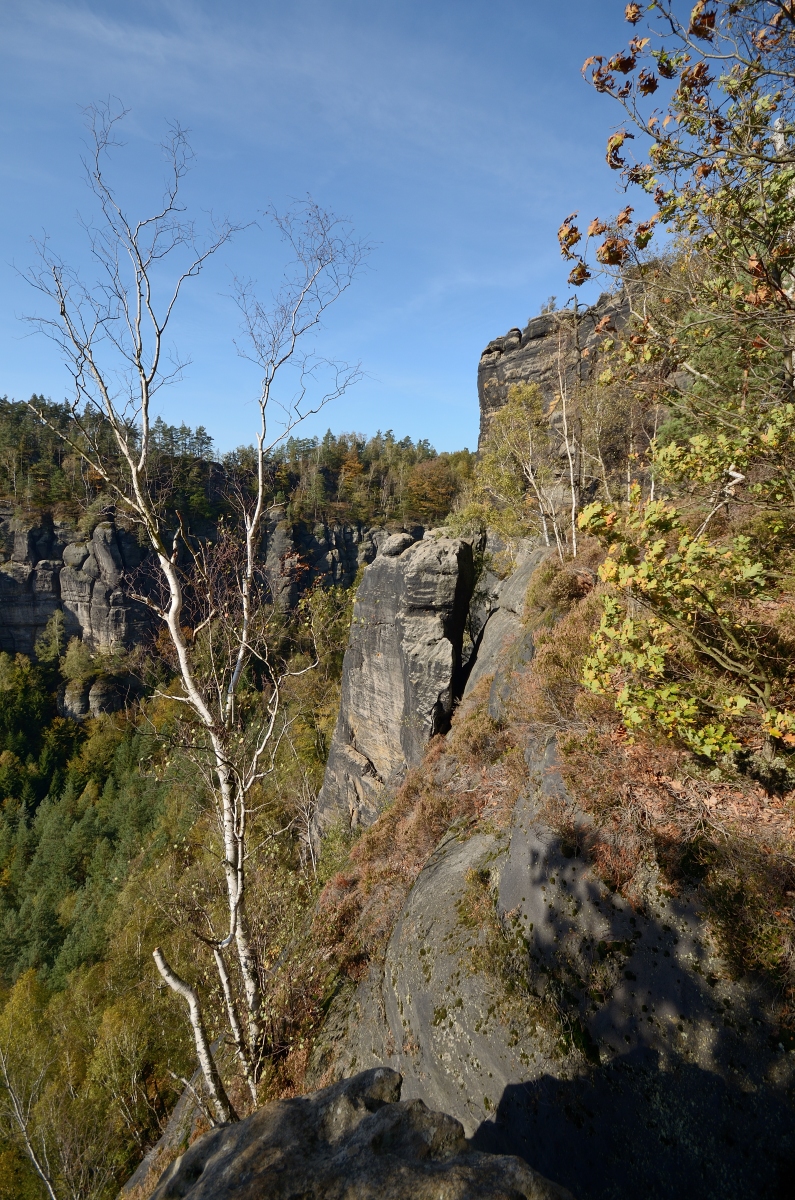DSC_9616_00001n.jpg