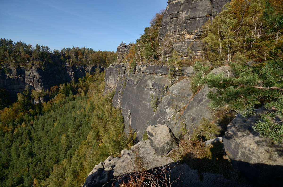 DSC_9626_00001n.jpg
