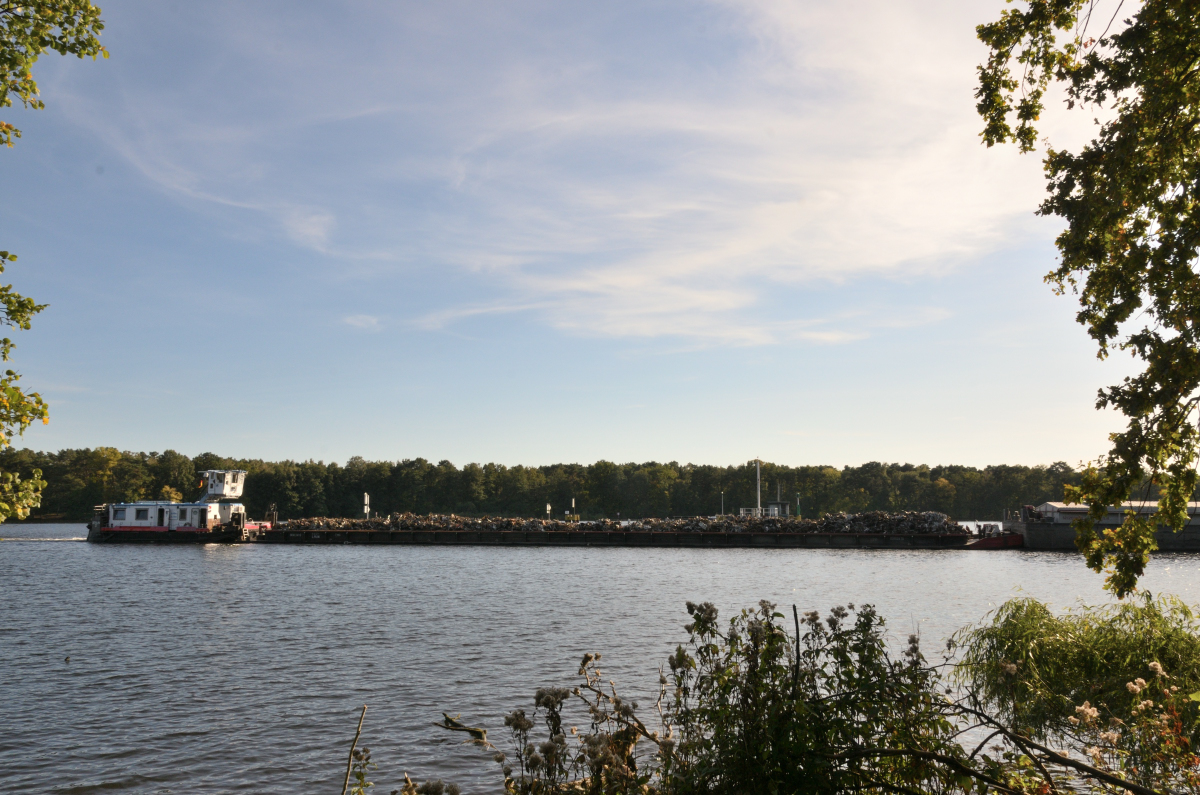 DSC_9648.JPG