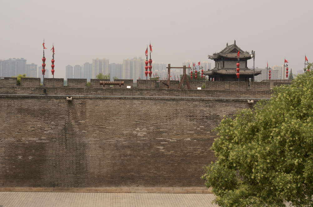 DSC_9657_01.JPG