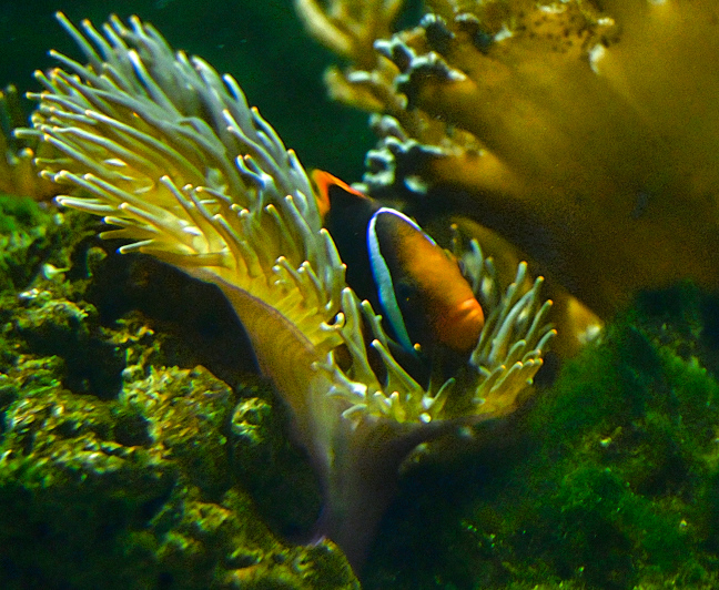 DSC_9673.jpg