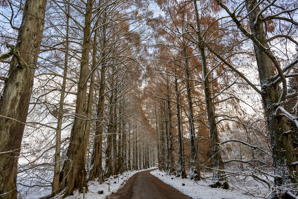 DSC_9684.jpg