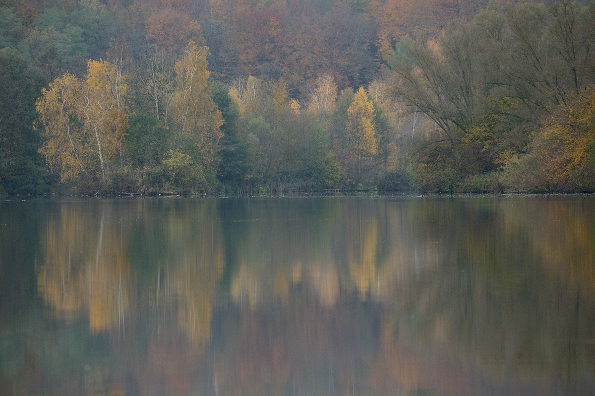 DSC_9697a.jpg