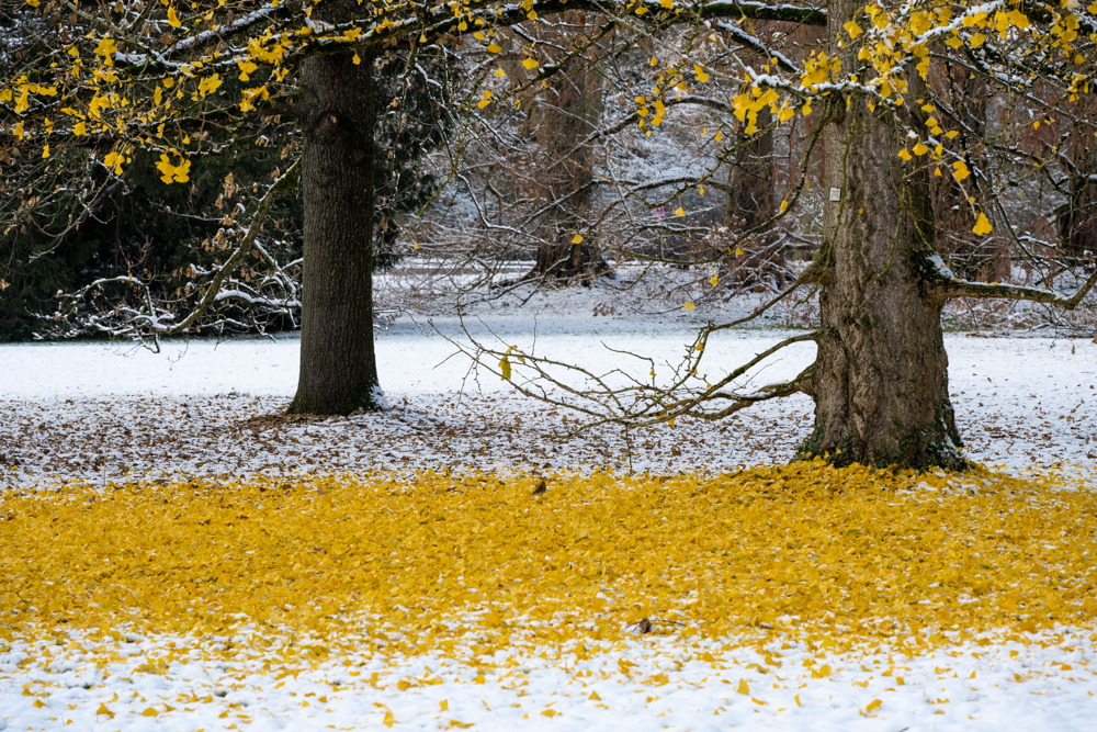 DSC_9698.jpg