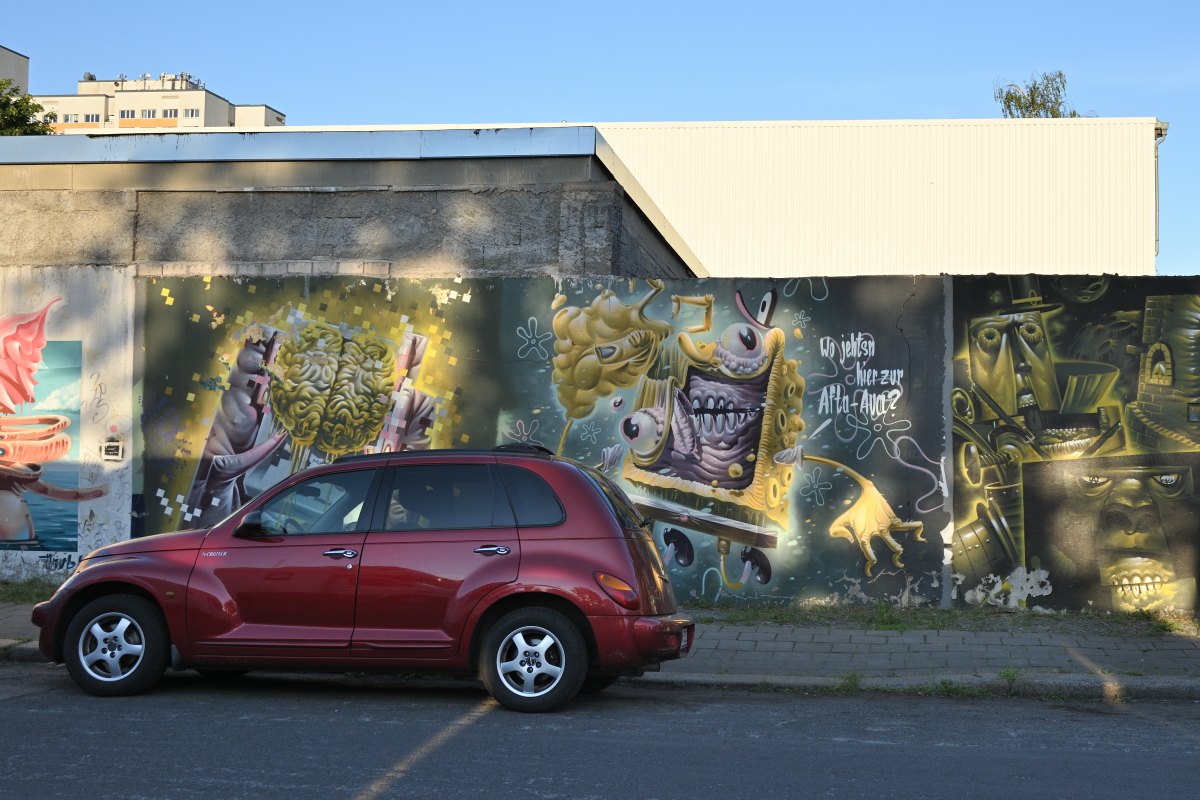 DSC_9718.JPG