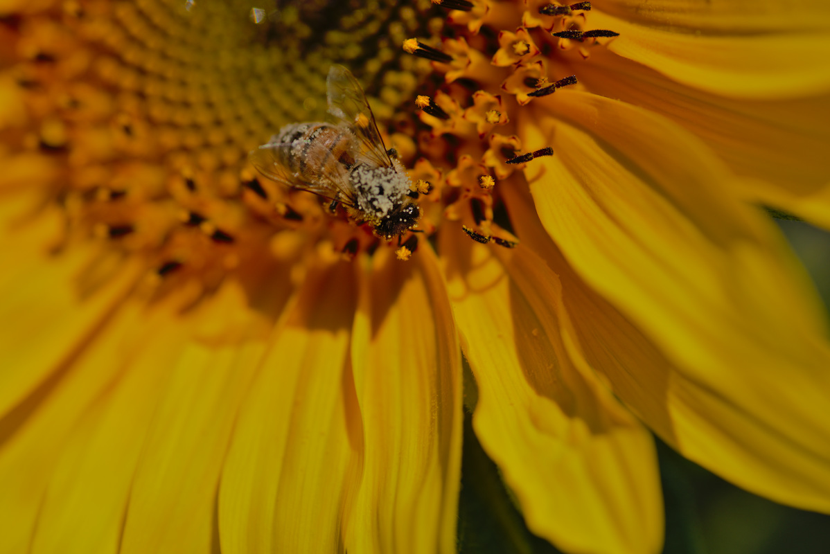 DSC_9743.jpg