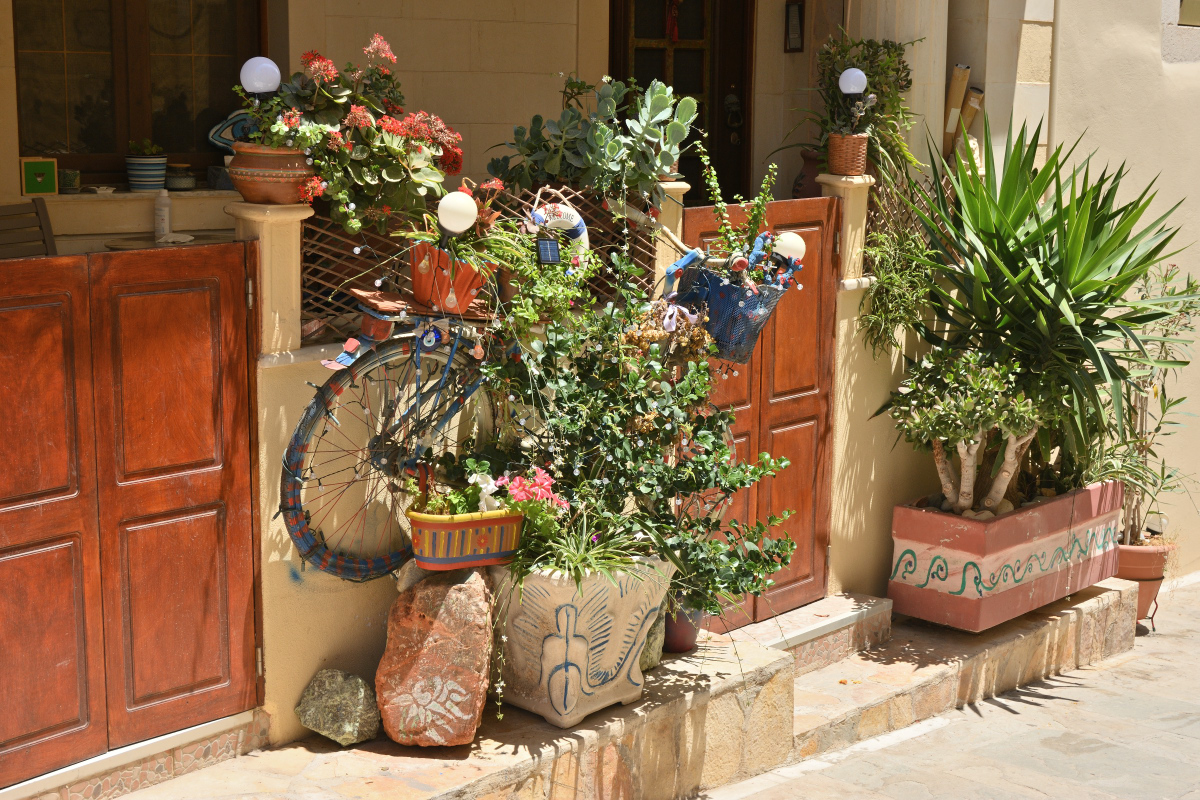 DSC_9767.JPG