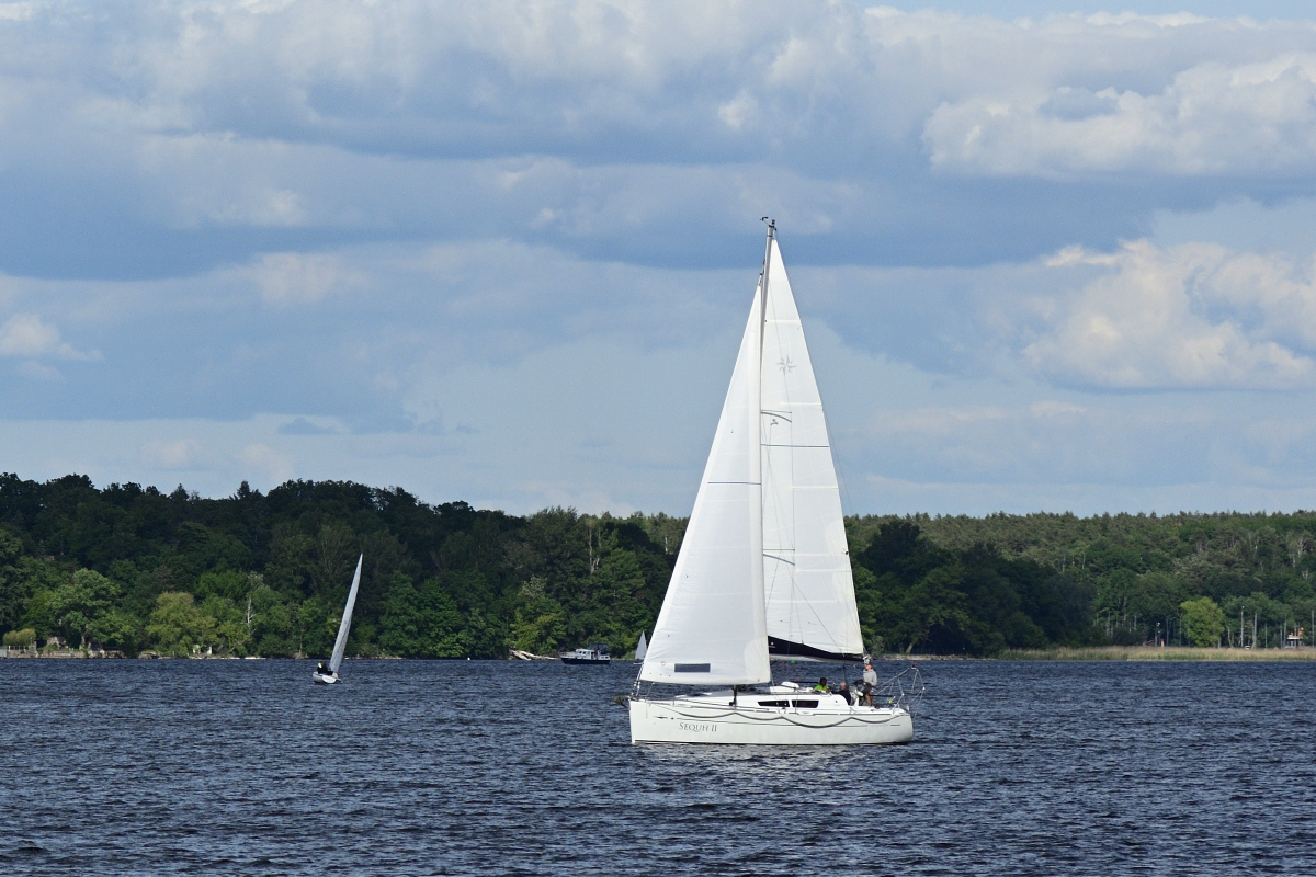 DSC_9775.JPG