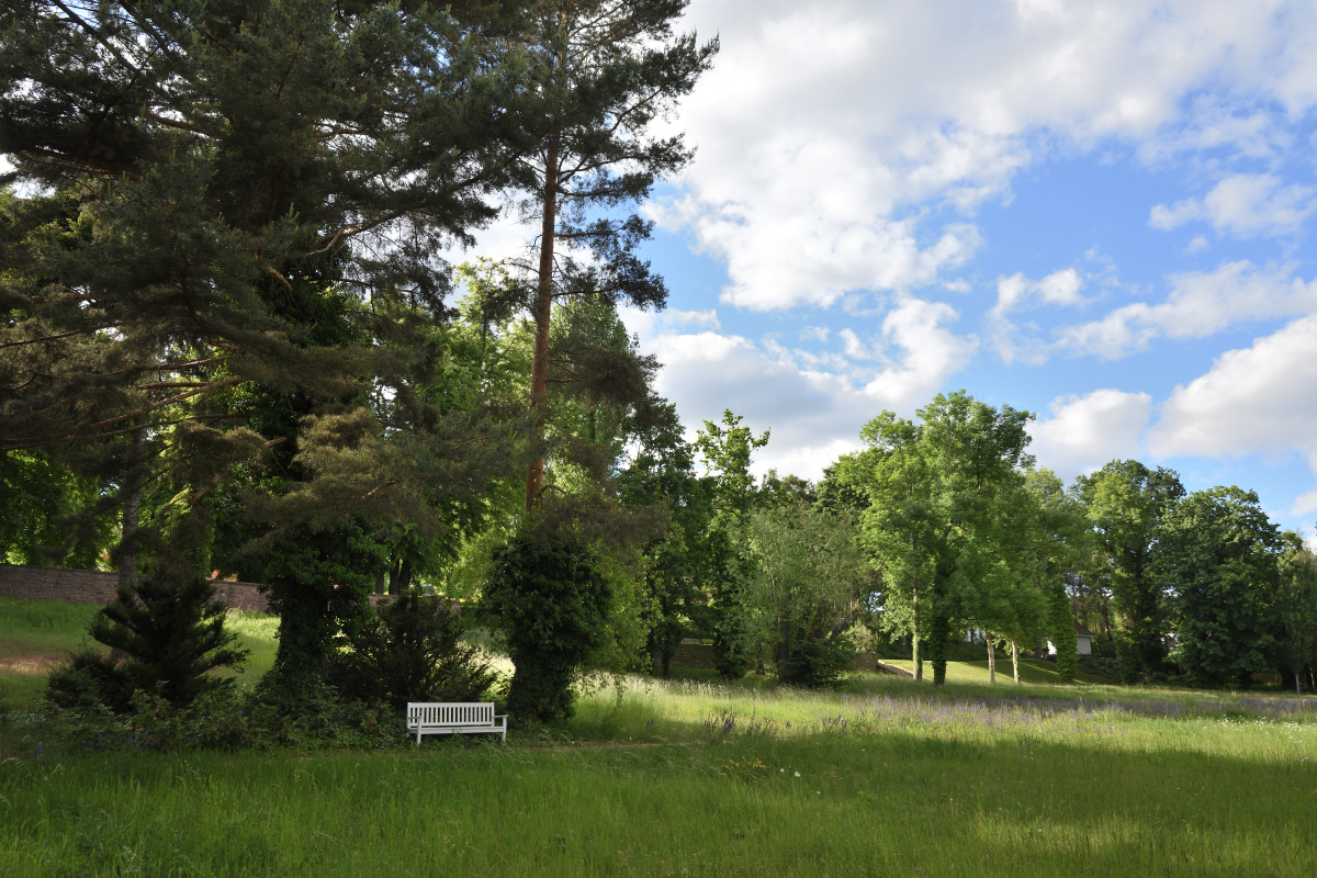 DSC_9782.JPG