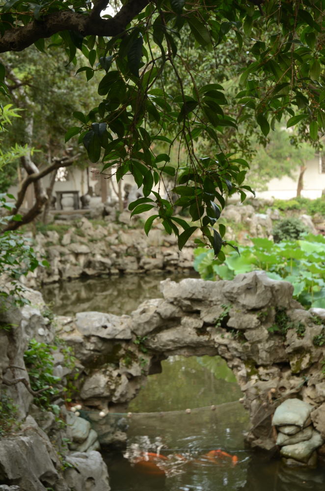 DSC_9861_01.JPG