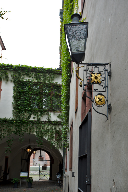 DSC_9864.jpg