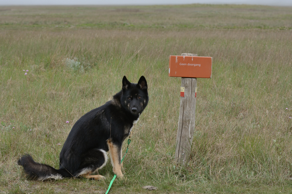 DSC_9867_00002.jpg