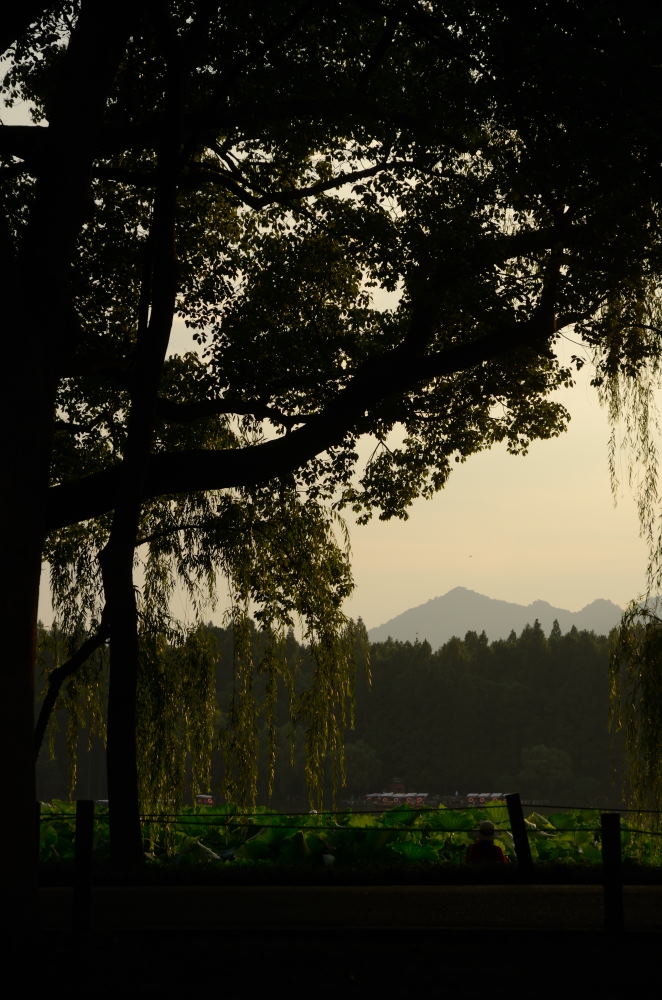 DSC_9877_01.JPG