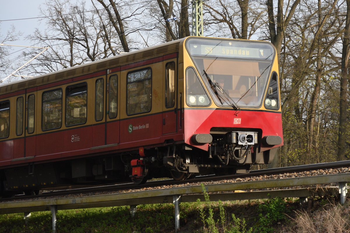 DSC_9899.JPG
