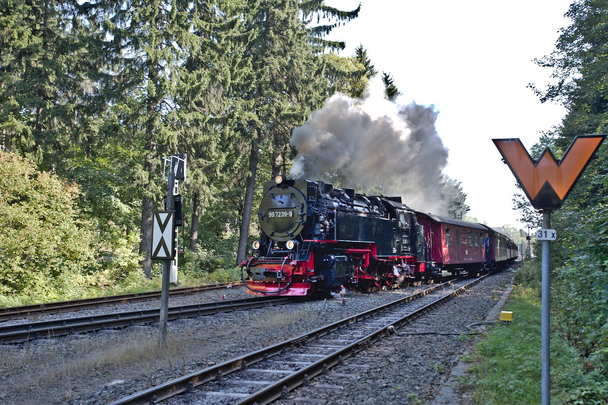 DSC_9905.jpg
