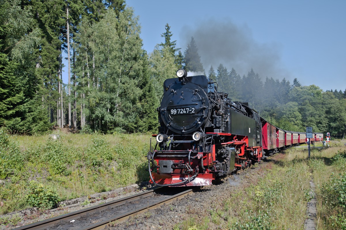 DSC_9912.jpg