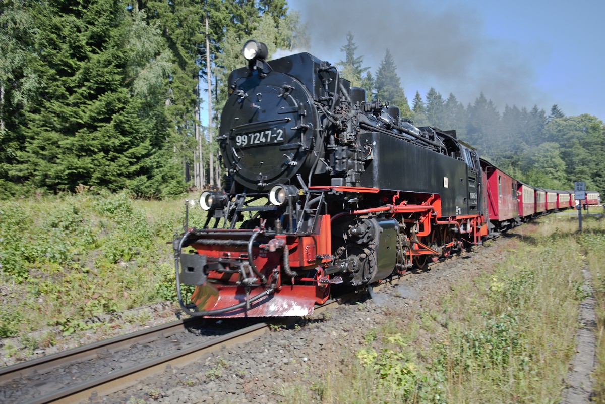 DSC_9914.jpg
