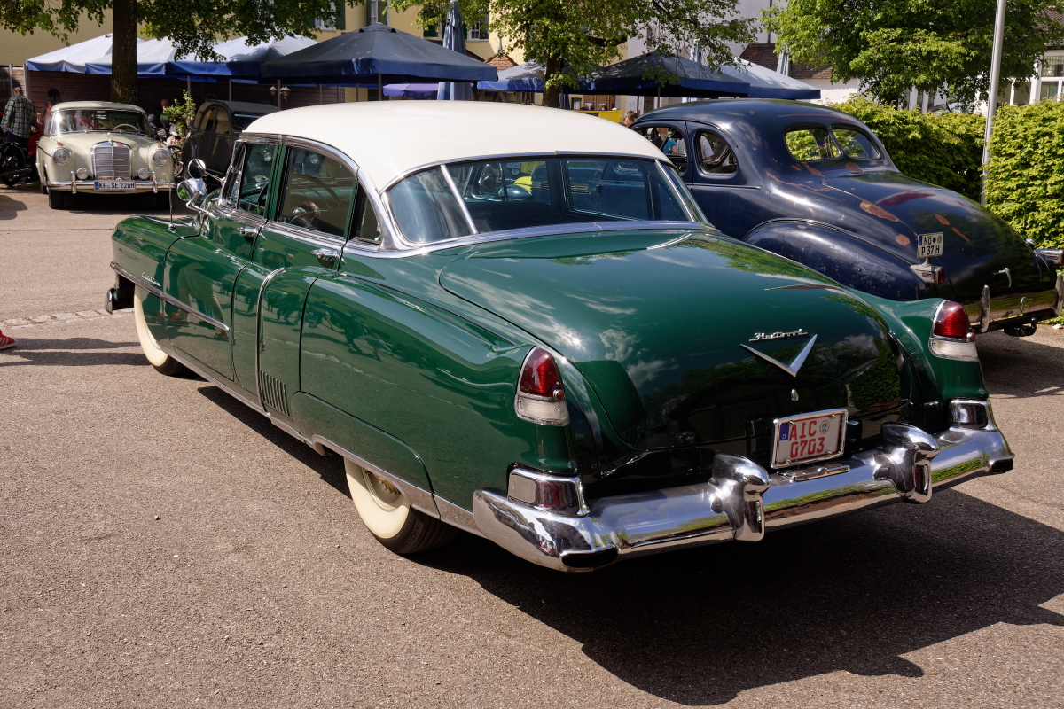 DSC_9923dxo.jpg