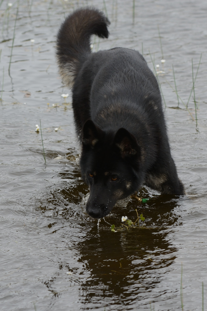 DSC_9939_00009.jpg