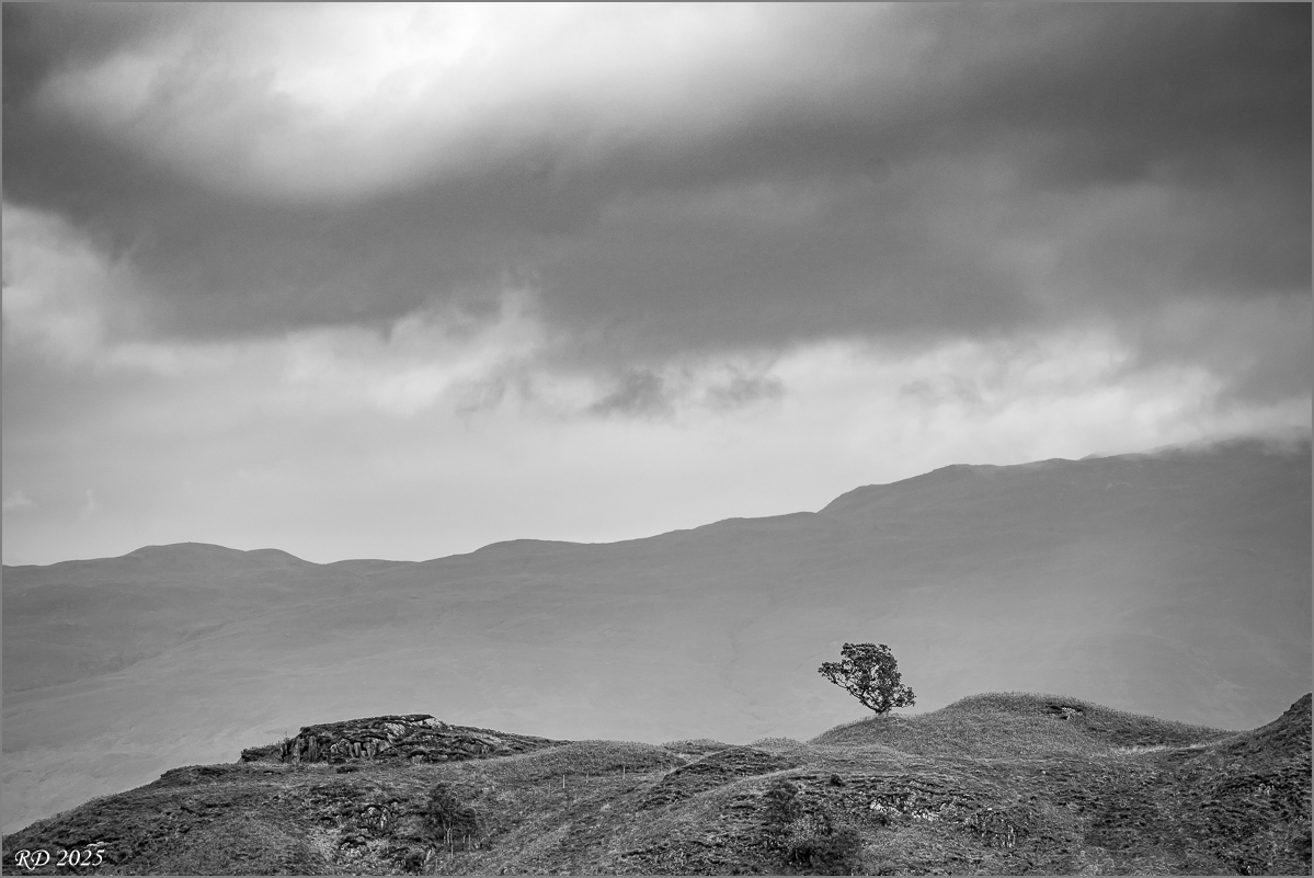 DSC_9954.jpg