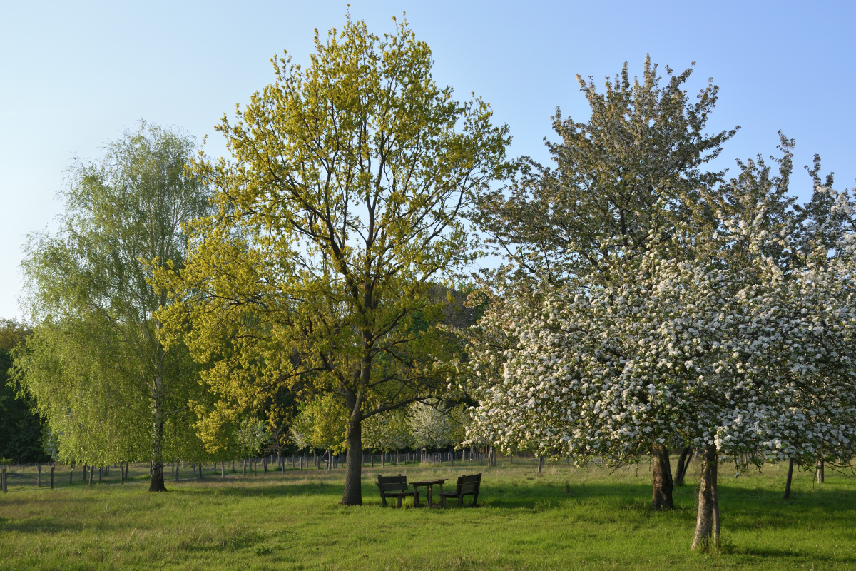 DSC_9960.JPG