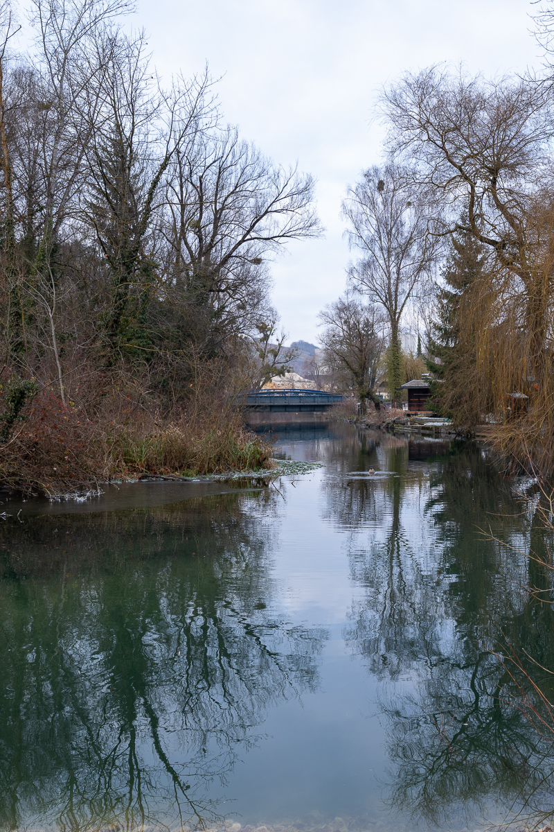 DSCF0083-2.jpg