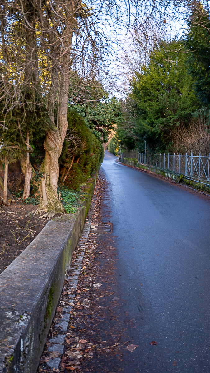 DSCF0099-3.jpg