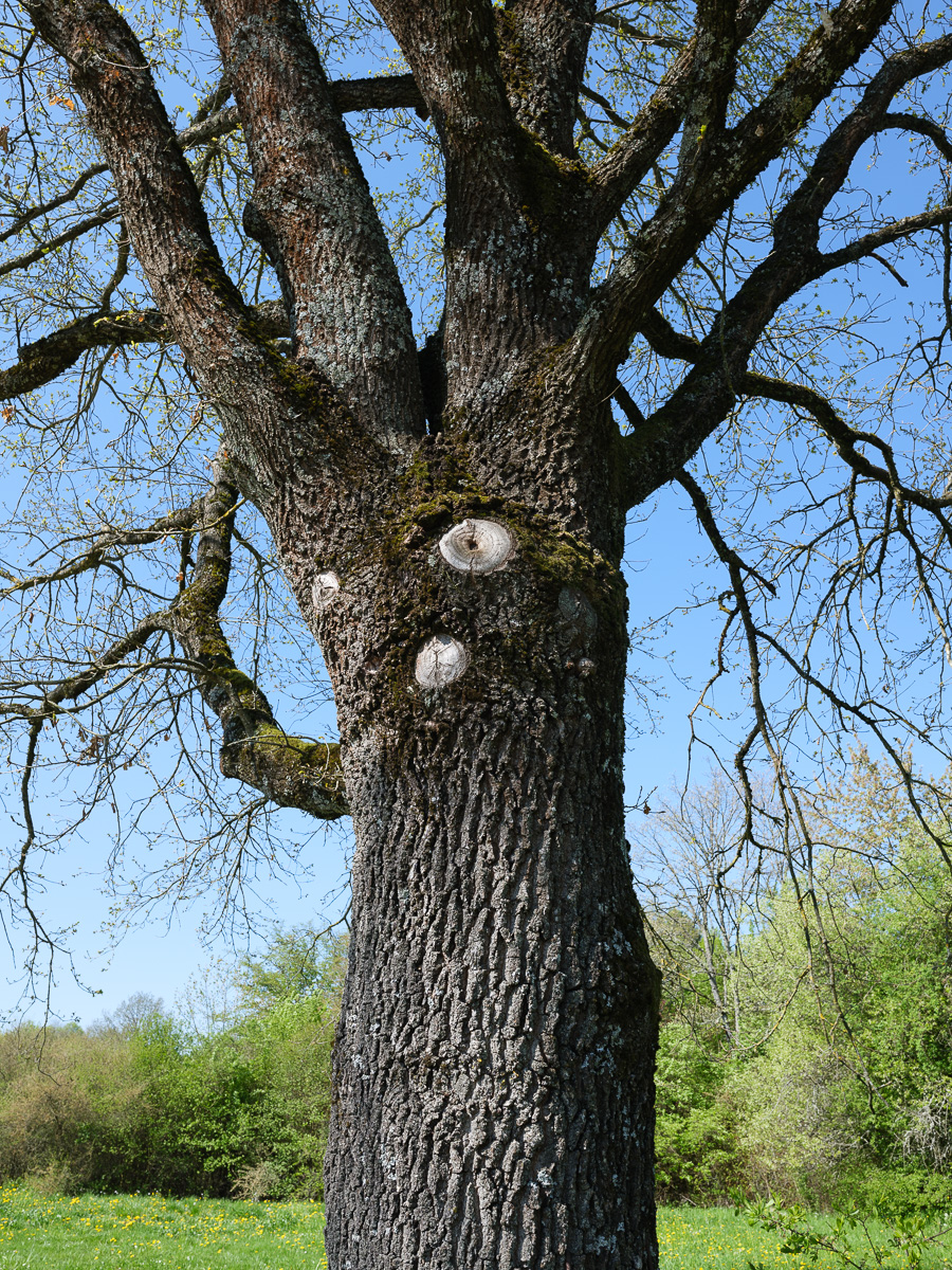 DSCF0168.jpg