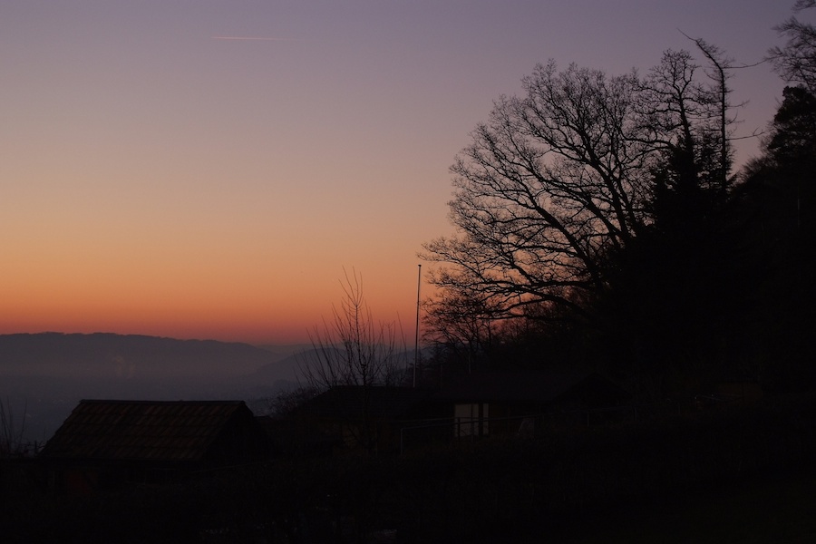 DSCF0174
