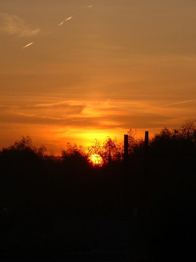 DSCF0185