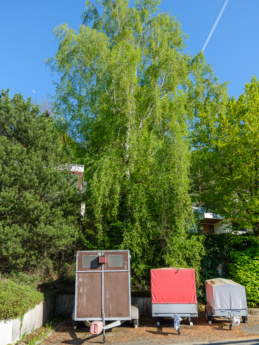 DSCF0229.jpg