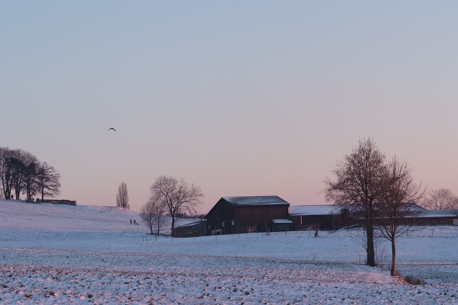 DSCF0246