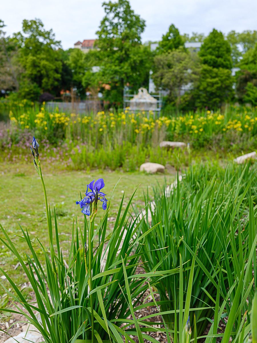 DSCF0419.jpg