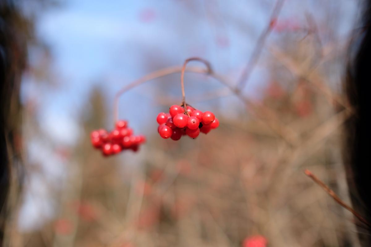 DSCF0423