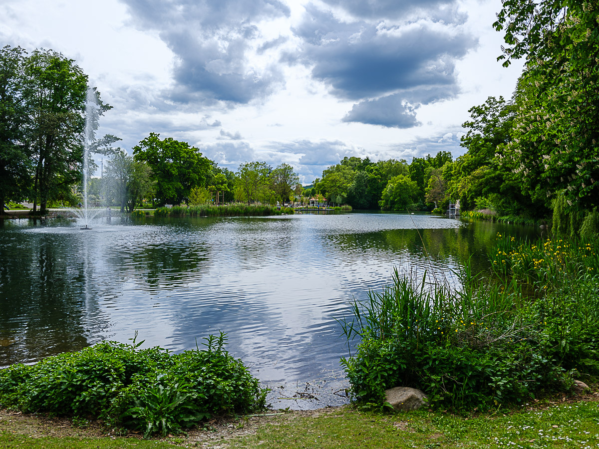 DSCF0451.jpg