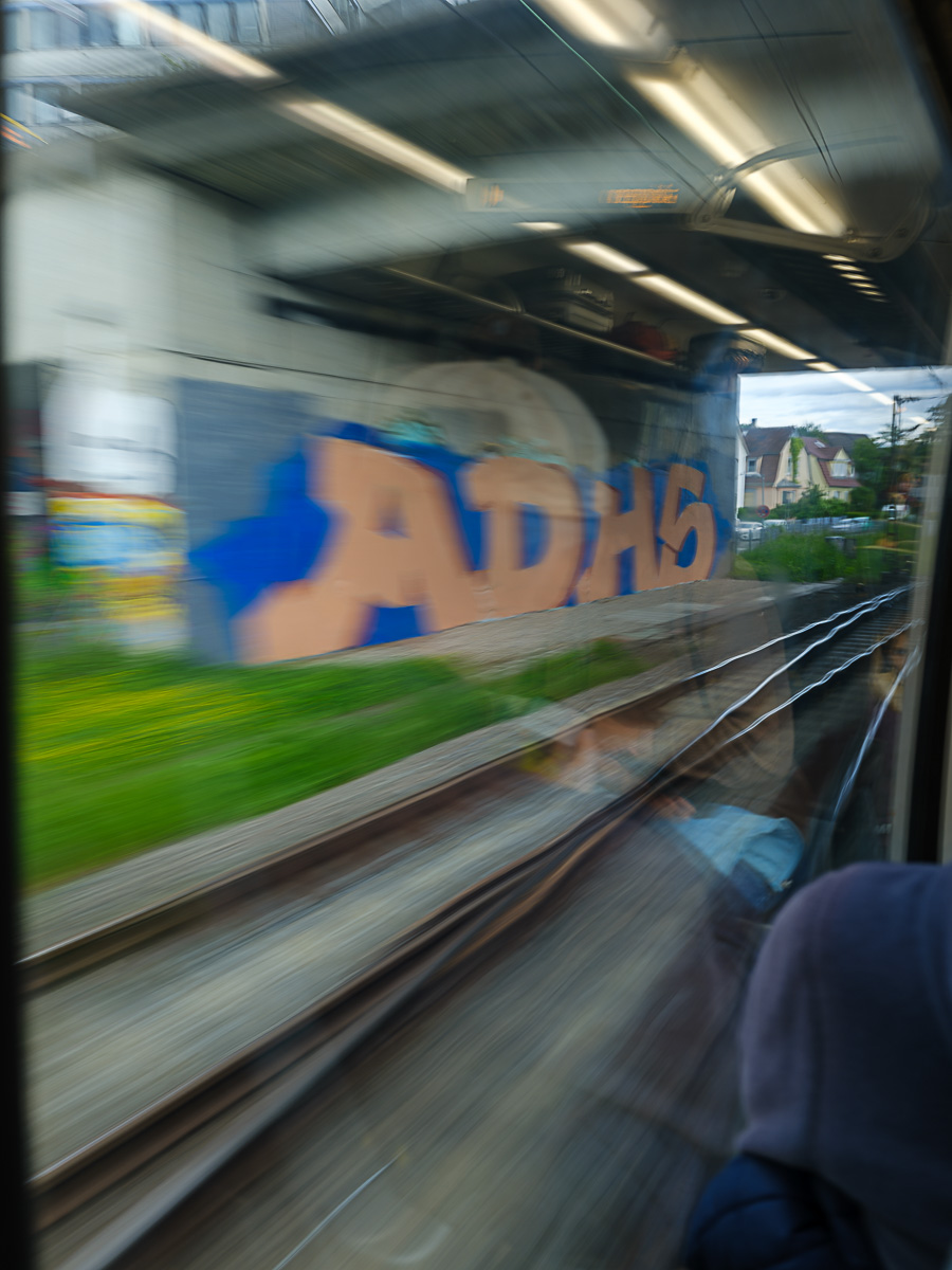 DSCF0462.jpg