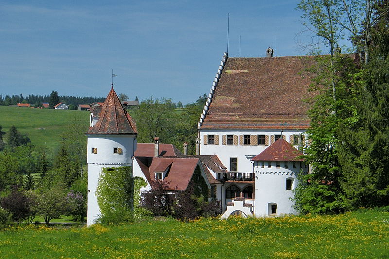 DSCF0703