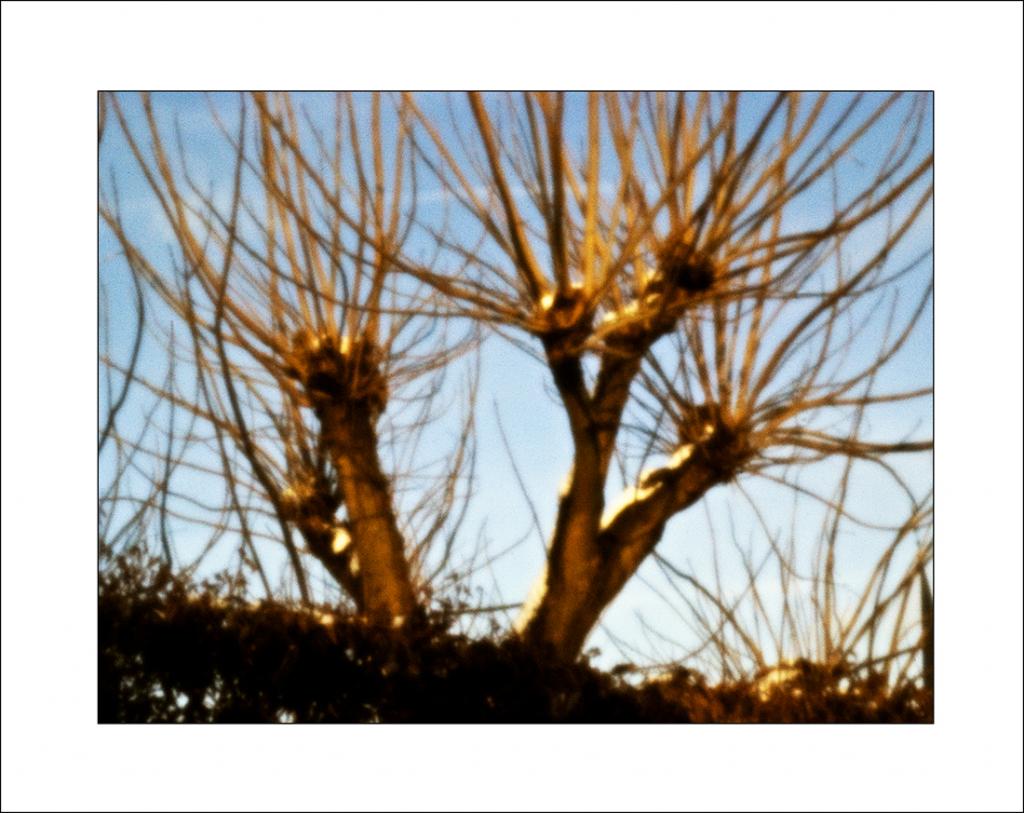 DSCF0868 WEB